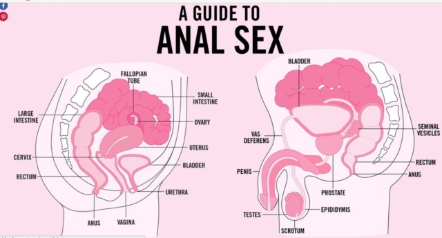 http://www.pinknews.co.uk/2017/07/12/teen-vogue-publishes-anal-sex-guide-and-people-cant-deal-with-it/?utm_source=ET&utm_medium=ETFB&utm_campaign=portal&utm_content=inf_57_60_2&tse_id=INF_2a3f97b066f911e790011d41b85aaeb5